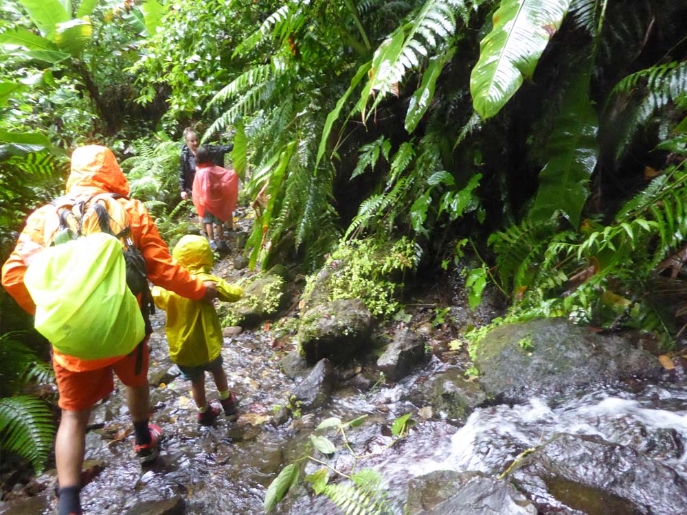 Dominica Impressionen