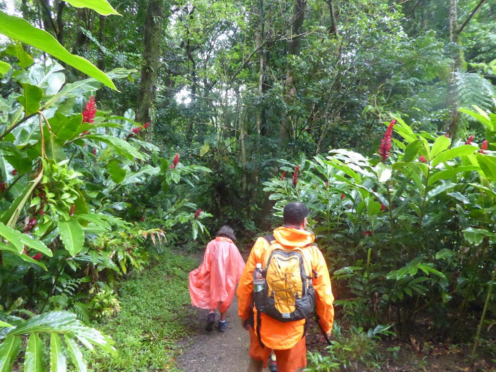 Dominica Impressionen