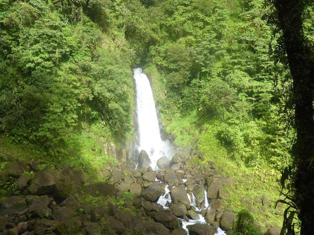 Dominica Impressionen