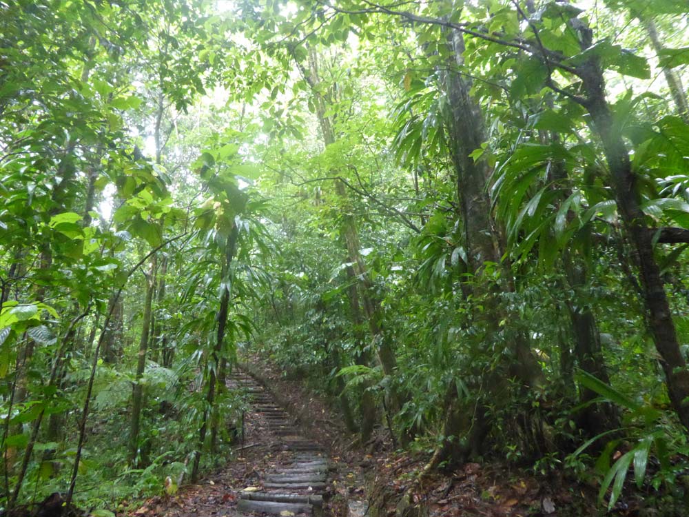 Dominica Impressionen